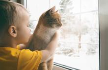 child with cat looking out window at winter weather