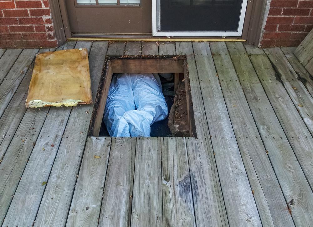 crawl space encapsulation, basement insulation, insulation, assured insulation, il, in