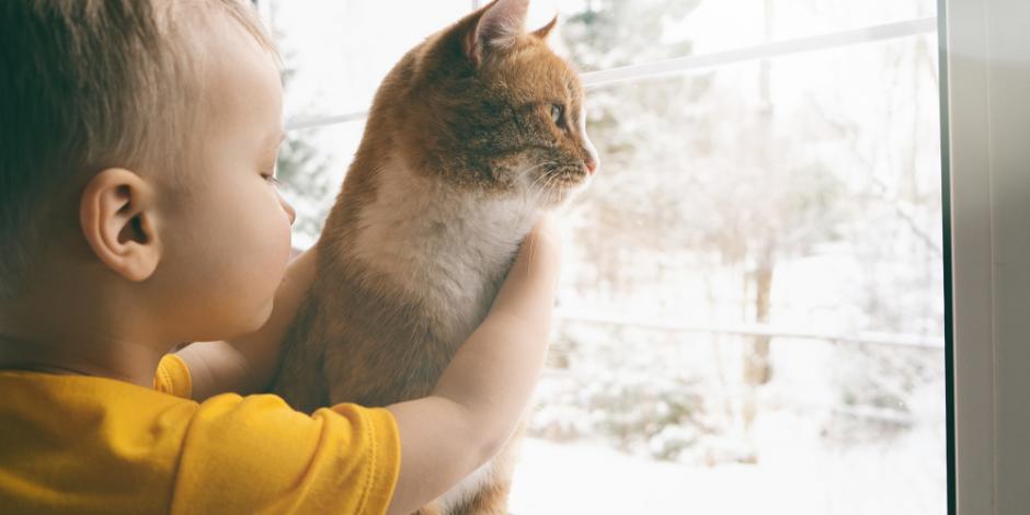 child with cat looking out window at winter weather