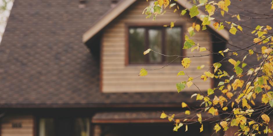 brown house faded in background with fall tree in foreground