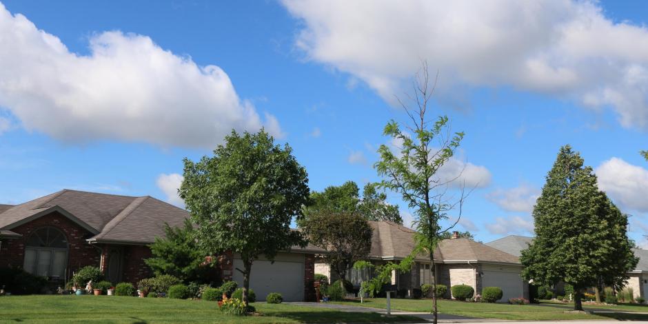 Tinley Park IL city page